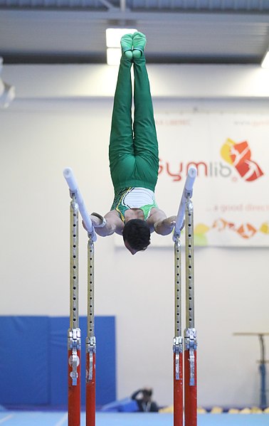 File:2019-11-30 OHC Liberec 2019 MAG Apparatus finals Parallel bars (Martin Rulsch) 175.jpg