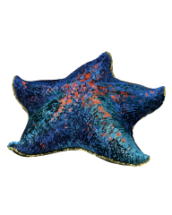 File:202111 Blue bat star.svg (Category:Patiria pectinifera)