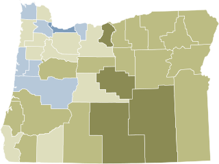 <span class="mw-page-title-main">Oregon Ballot Measure 111</span>