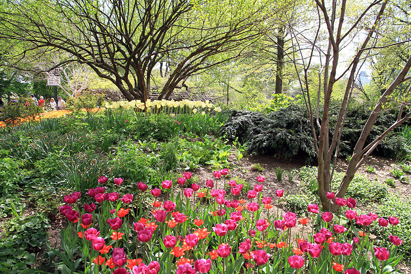 File:2979-Central Park-Strawberry Fields.JPG