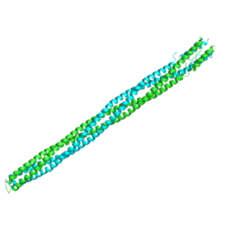 Methyl-accepting chemotaxis proteins