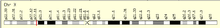 ACOT9 location on the human chromosome X ACOT9 Location on Chromosome X.png