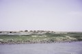 ASC Leiden - F. van der Kraaij Collection - 04 - 029 - Le fleuve Niger près du Lac Débo - Région de Mopti, Mali - 1972.tif