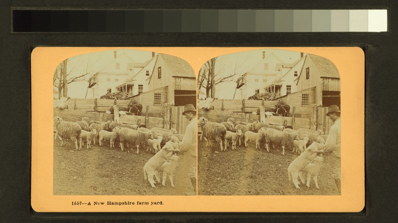 File:A New Hampshire farm yard (NYPL b11708095-G91F293 026F).tiff