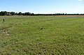 A marker in a field at Fry's Ruts near Windom, KS (e1838a91d32f4d828e297585e6880f9f).JPG