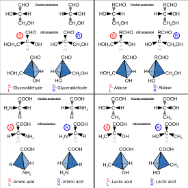 This image shows the wedges in the structural formula and how they indicate the stereochemistry of the compound. Absolute configuration.svg