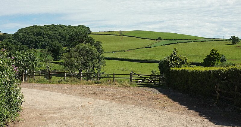 File:Across Longcombe - geograph.org.uk - 5451504.jpg