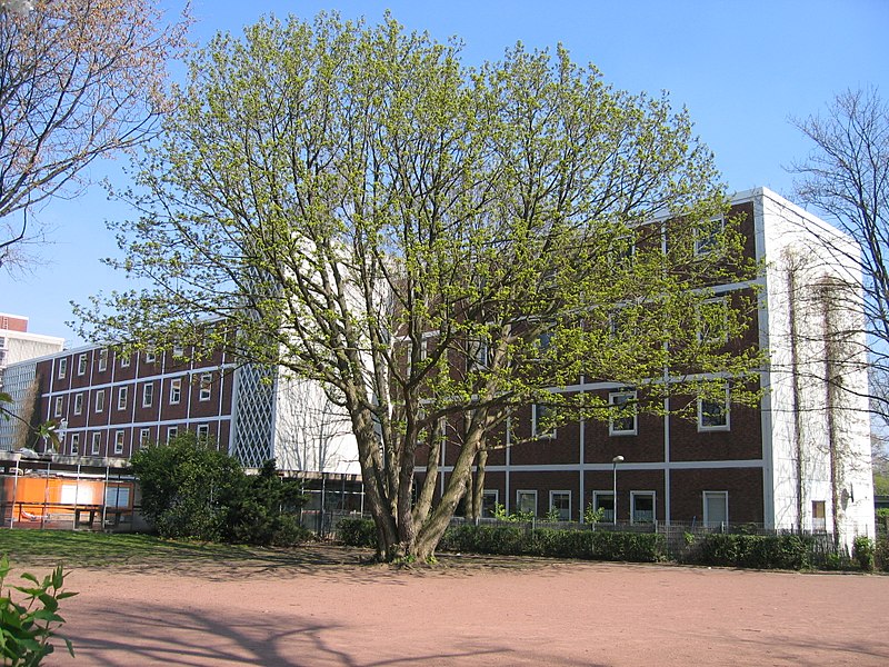 File:Albertus-magnus-gymnasium.jpg