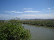 S'Albufera