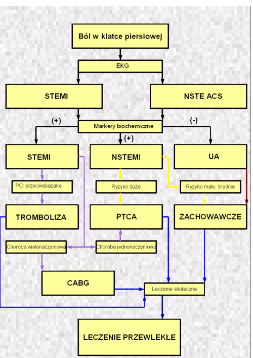 Choroba Niedokrwienna Serca