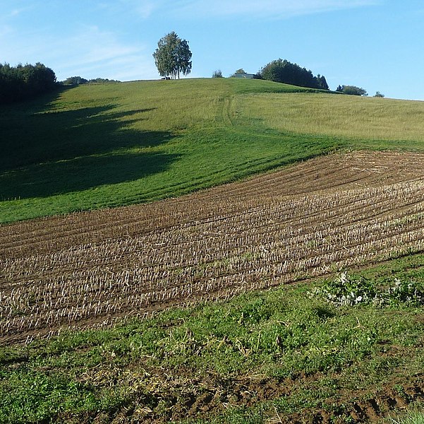 File:Anhöhe bei Pausdorf - panoramio.jpg