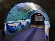 The tunnel aquarium inside Aquatic Kingdom