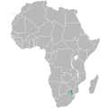 Range of Argyrolobium transvaalense