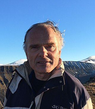 <span class="mw-page-title-main">Arild Moe</span> Norwegian political scientist