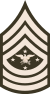 Army-USA-OR-09-SEAC (legergroen).svg