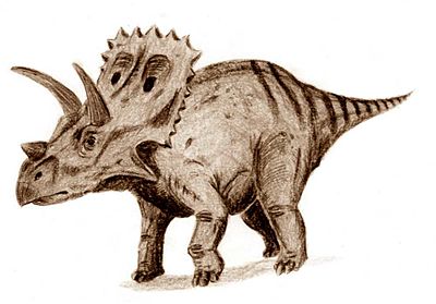 Arrhinoceratops.jpg