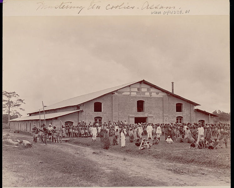 File:Assamese tea coolies at factory by Bourne & Shepherd.jpg