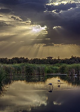 Sunset at Tablas de Daimiel, by Amfeli