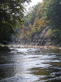 Autumn on the West Branch of the Huron River near Milan