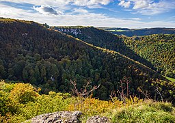 Landschaft der Uracher Alb: Blick vom Eppenzillfelsen (757 m) auf die Talhänge der Uracher Talspinne mit typischen Kalkbuchen- und Hangschluchtwäldern