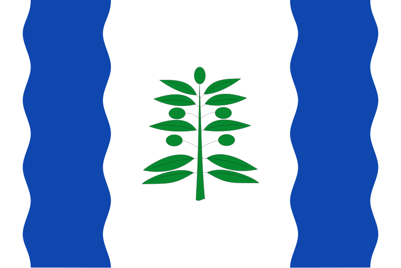 File:Bandera de Cinco Olivas.svg