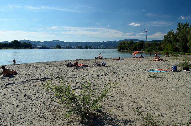 File:Bathing in the Danube, Linz.jpg