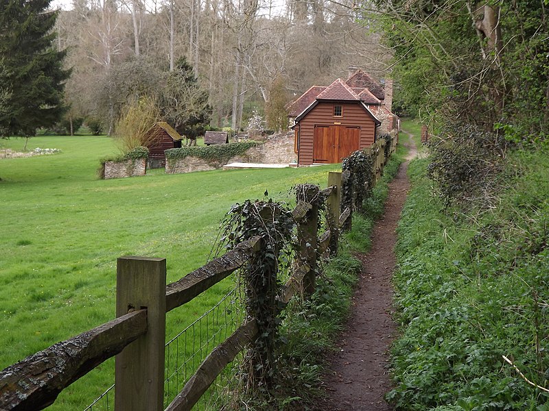 File:Below Fir Walk - geograph.org.uk - 2893830.jpg