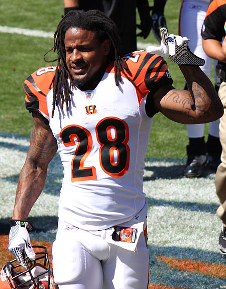 Bernard Scott 2011.JPG