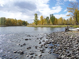 <span class="mw-page-title-main">Big Hole River</span> River in Montana, United States