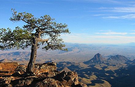 The South Rim at Big Bend National Park