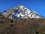 Vignette pour Monte d'Oro