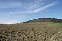 View from Bertsdorf