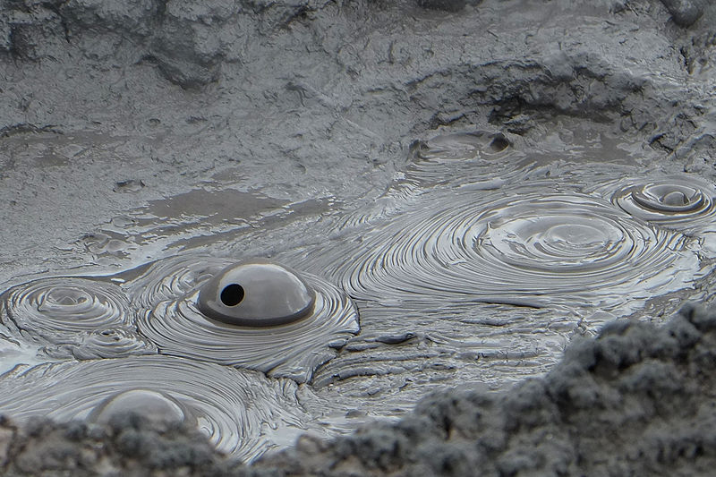 File:Bubbling mud with bubble starting to burst (Hell's Gate thermal area).jpg