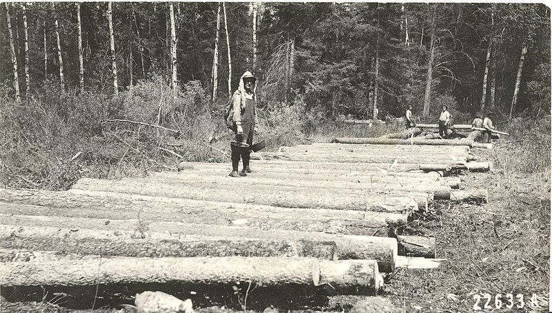 File:Building skidway, Virginia and Rainy Lake Co (5187490609).jpg