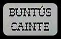 Buntús Cainte show titles.jpg