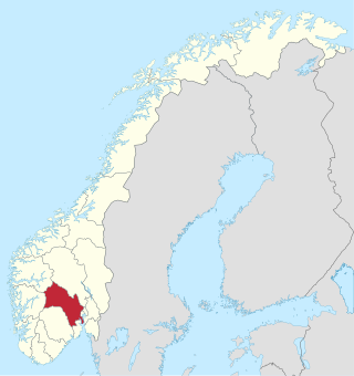 <span class="mw-page-title-main">Buskerud (Storting constituency)</span> Constituency of the Storting, the national legislature of Norway