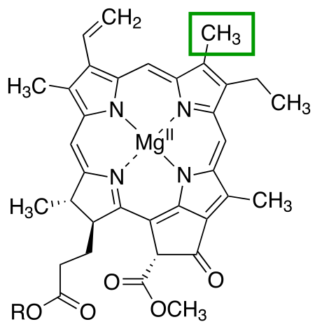 Tập_tin:C-3_position_Chlorophyll_a.svg