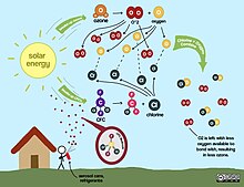 CFCs negatively affecting stratospheric ozone production CFCs & Ozone.jpg