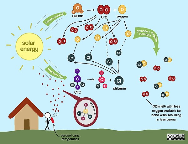 CFCs negatively affecting stratospheric ozone production