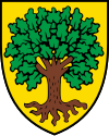 Coat of arms of Échallens