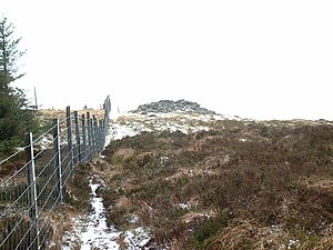 Cairn auf Mynydd Tarw - geograph.org.uk - 648576.jpg