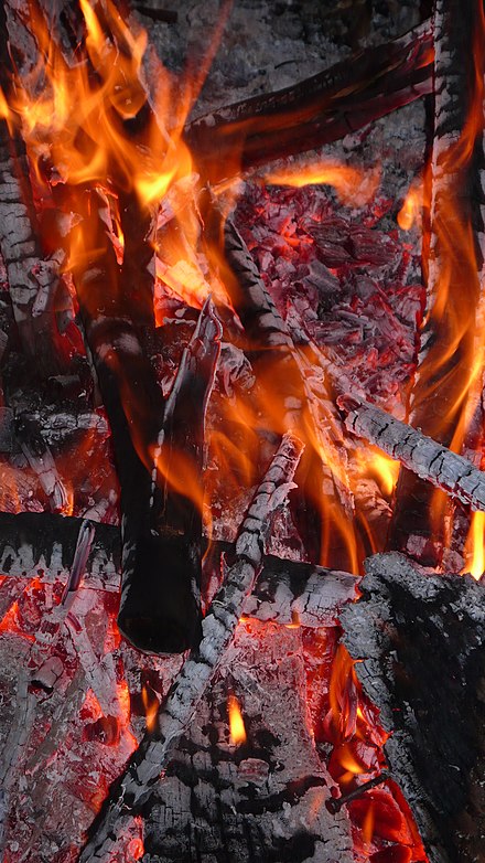 Closeup of campfire.
