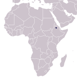 Etiopianvuorikauriin levinneisyys