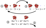 Miniatura para Datação por radiocarbono