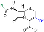 Vorschaubild für Cephalosporine