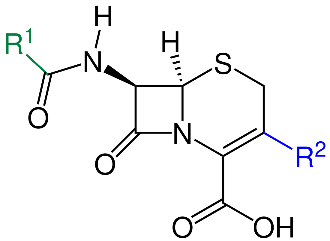 Cephalosporine