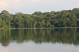 Parco Nazionale Madidi