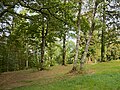 * Nomination Path near the huts in the Larch Park in Job, Puy-de-Dôme, France. --Touam 19:45, 7 September 2023 (UTC) * Promotion  Support Good quality. --Ktkvtsh 18:07, 8 September 2023 (UTC)