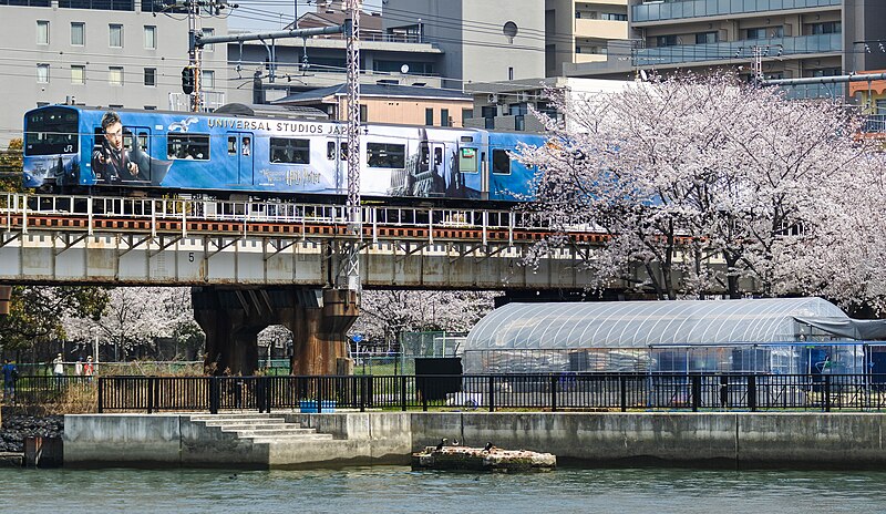 File:Cherry blossom Osaka Loop Line Sakuranomiya 03-27-2018 (39425304040).jpg