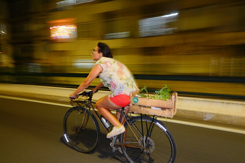 File:Ciclista-urbana-brasil.jpg